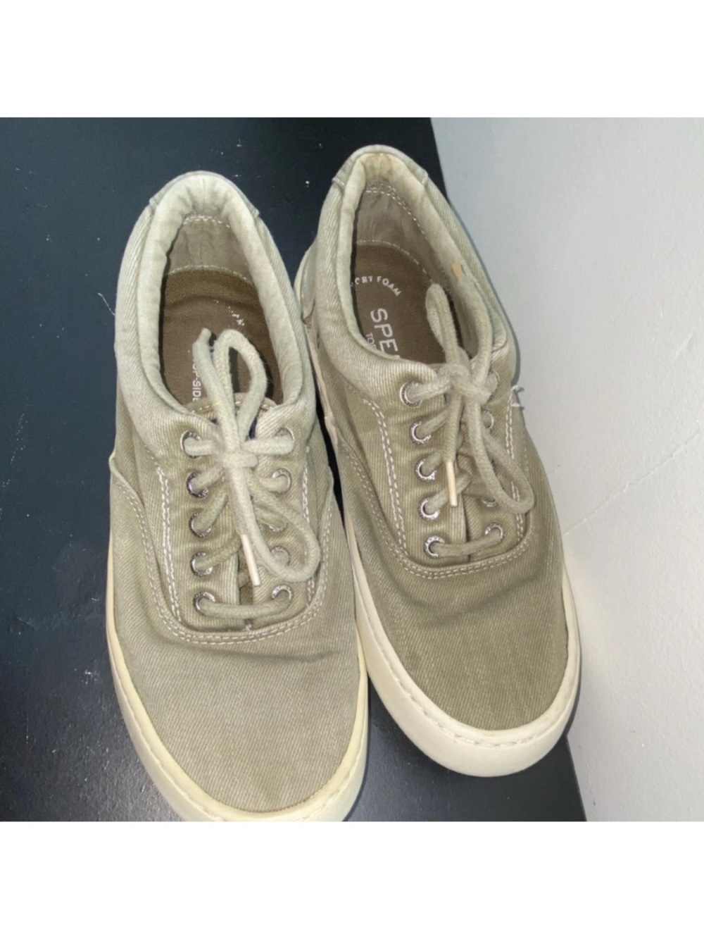 Sperry Men’s Canvas Sneakers in Olive Green
